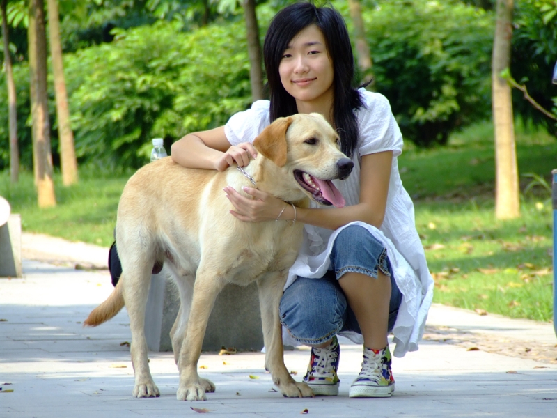 风中的绿叶的第一张照片--宿迁相亲服务中心