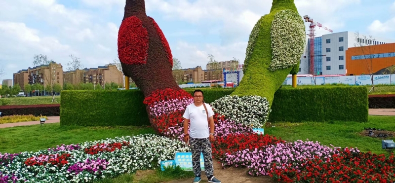 尘埃的第一张照片--宿迁相亲服务中心