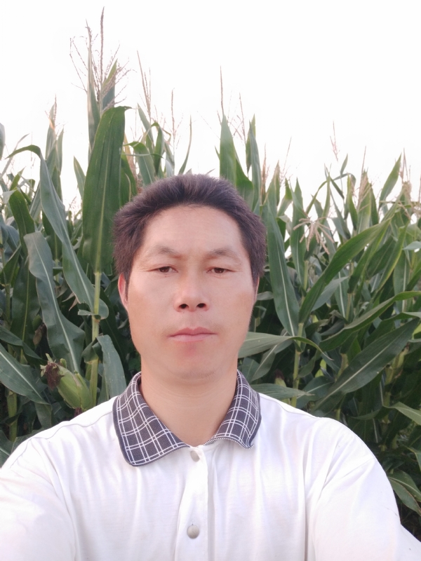 四海游龙的第二张照片--宿迁相亲服务中心