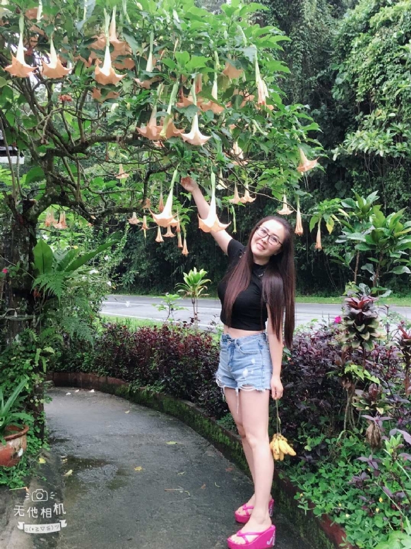 离异单身无子的第二张照片--宿迁相亲服务中心