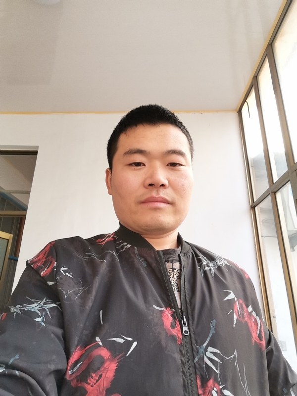 会飞的猪的第一张照片--宿迁相亲服务中心