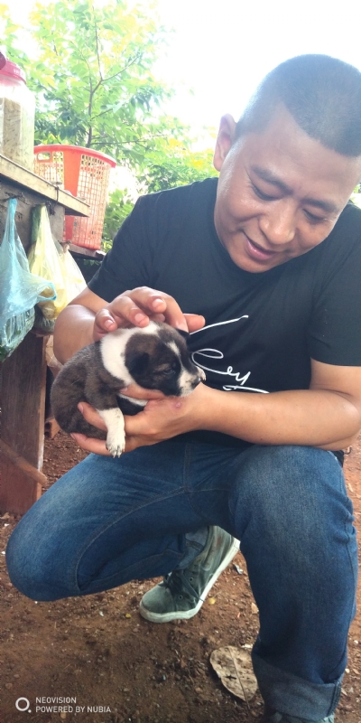 深圳相亲的第一张照片--宿迁相亲服务中心