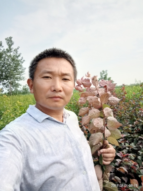 孩子爸的第一张照片--宿迁相亲服务中心