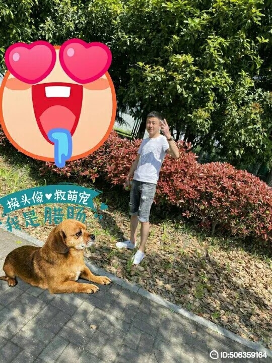 我若不坚强谁替我勇敢的第一张照片--宿迁相亲服务中心