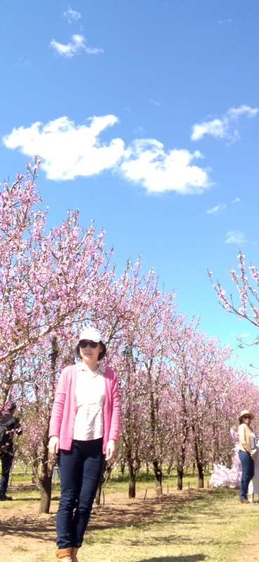 Grace的第二张照片--宿迁相亲服务中心