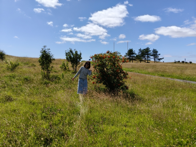 秋蝉的第一张照片--宿迁相亲服务中心