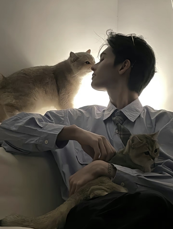 怪猫的第一张照片--宿迁相亲服务中心