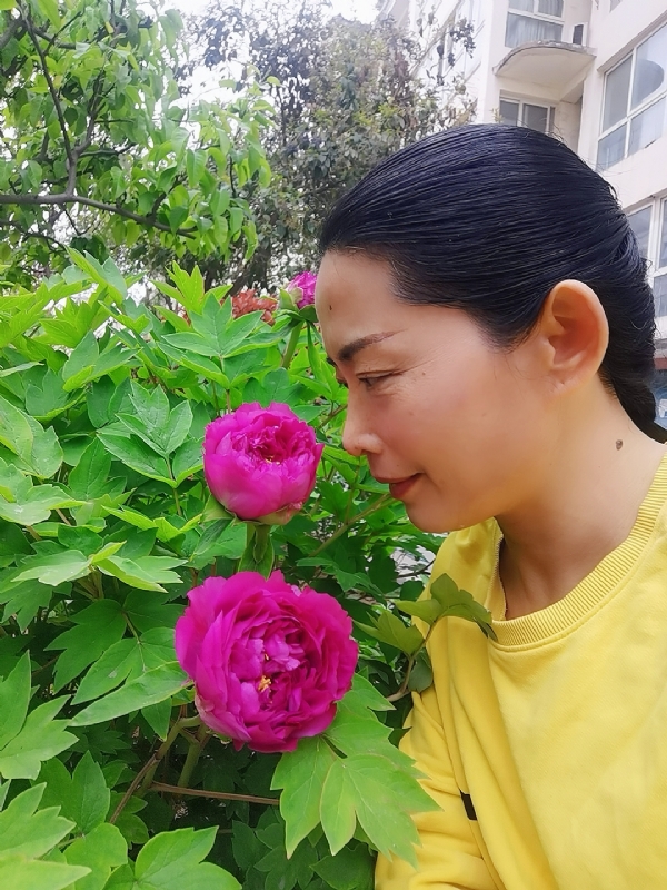 厚德载物的第一张照片--宿迁相亲服务中心