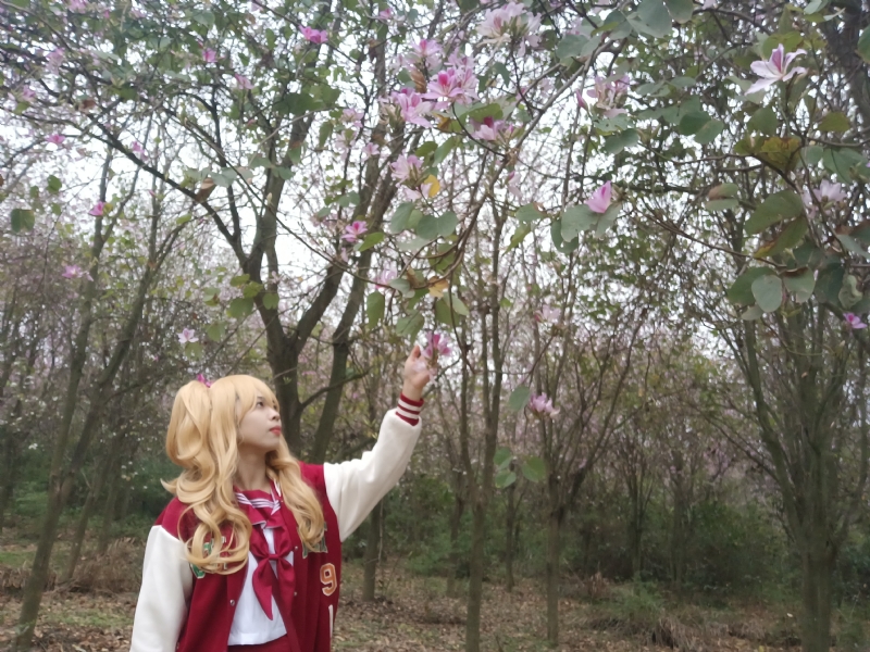 暮秋的第一张照片--宿迁相亲服务中心