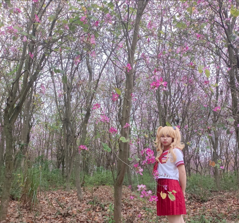 暮秋的第四张照片--宿迁相亲服务中心