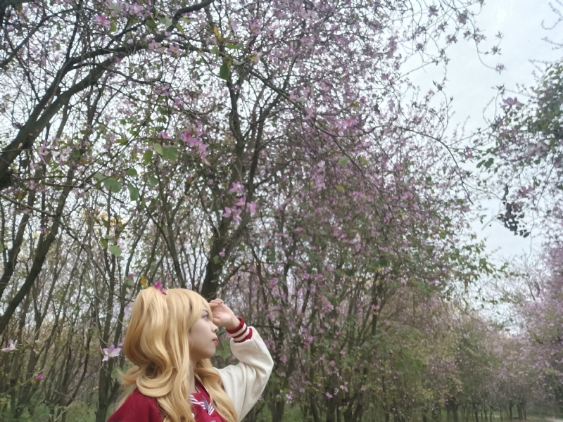 暮秋的第五张照片--宿迁相亲服务中心