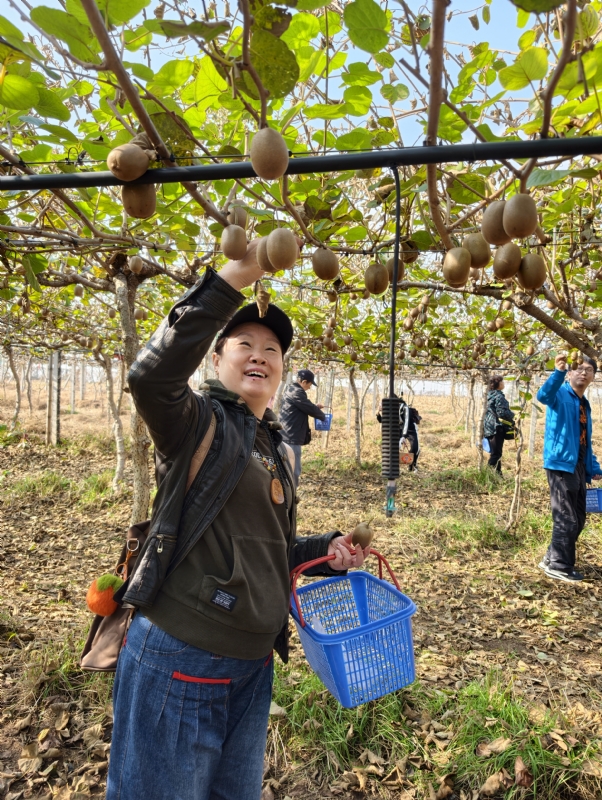 夜莺的第三张照片--宿迁相亲服务中心